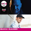 Concert BELOCCA + BLACKBIRD H + TOMICH B2B SHADOW REMINGTON