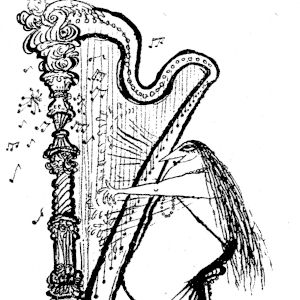 Mâle De Mer Mâle De Mer