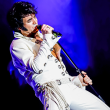 Concert THE MUSICAL STORY OF ELVIS