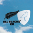 Match ALL BLACKS XV - URUGUAY