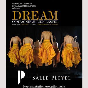 Dream Dream
