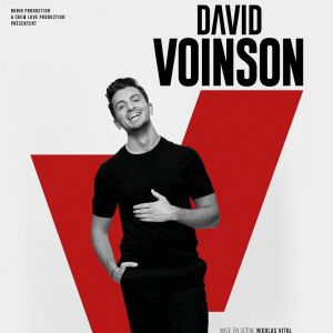 David Voinson