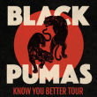Concert BLACK PUMAS &agrave; Paris @ Le Trianon - Billets & Places