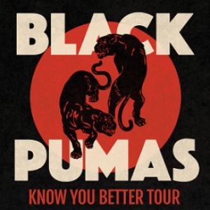 Black Pumas Black Pumas