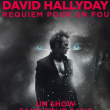 Concert DAVID HALLYDAY