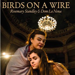 Birds On A Wire Birds On A Wire