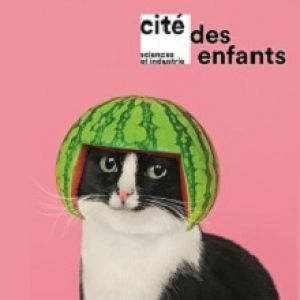 Cité Des Enfants 5-12 Ans Cité Des Enfants 5-12 Ans