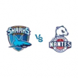 Match ANTIBES - NANTES @ Azurarena Antibes - Billets & Places