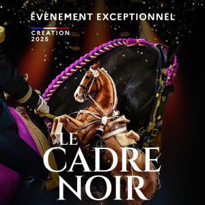 Le Cadre Noir De Saumur