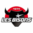 Match Etoile Noire de STRASBOURG vs Bisons de NEUILLY sur MARNE