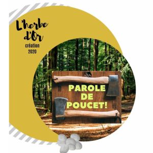 Le Petit Poucet Le Petit Poucet