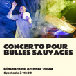 SPECTACLE FAMILLE : CONCERTO POUR BULLES SAUVAGES
