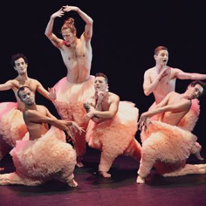 Tutu Tutu