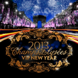 Soirée VIP NEW YEAR '' CHAMPS-ELYSEES 2013 '' à PARIS @ PAVILLON CHAMPS-ELYSEES - Billets & Places