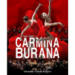 Spectacle CARMINA BURANA à TROYES @ LE CUBE - TROYES CHAMPAGNE EXPO - Billets & Places