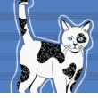 2.9 - Mini concert : Cha-cha Chat