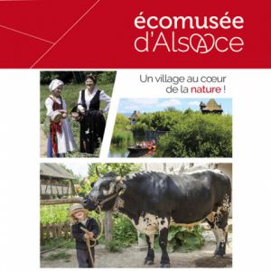 Billet Ecomusee D'alsace Billet Ecomusee D'alsace