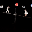 Spectacle AUX ETOILES &agrave; VENELLES @ L'&Eacute;tincelle - Salle Jos&eacute;phine Baker - Billets & Places