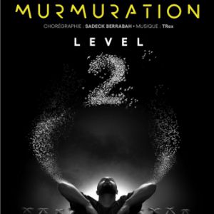 murmuration