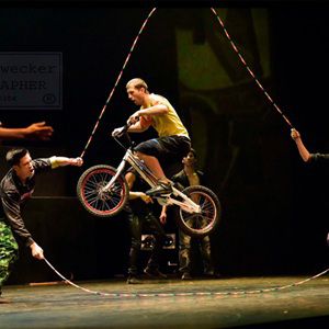 ID EVOLUTION - Cirque ELOIZE