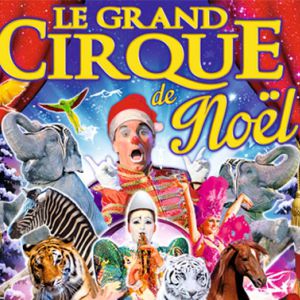 Le Grand Cirque De Noël À Avignon Le Grand Cirque De Noël À Avignon