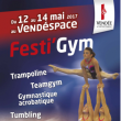 FORFAIT 3 JOURS - FESTI'GYM &agrave; MOUILLERON LE CAPTIF @ VENDESPACE SPORT HANDBALL - Billets & Places