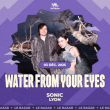 Concert WATER FROM YOUR EYES à Lyon @ Le Sonic - Billets & Places