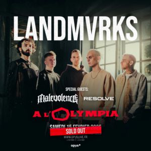 Landmvrks