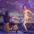 Spectacle JOS&Eacute;PHINE BAKER, LE MUSICAL &agrave; LE PLESSIS ROBINSON @ Theatre de l'Allegria - Billets & Places