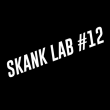 Concert SKANK LAB #12 : WEEDING DUB + WISE ROCKERS + COPTIC SOUND + ... à LILLE @ L'AERONEF - Billets & Places