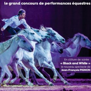 Etoiles Equestres 2019 Etoiles Equestres 2019