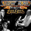 Concert Stayin'Alive - Tribute Bee Gees &agrave; L&Eacute;ZIGNAN CORBI&Egrave;RES @ L'Id&eacute;al - Billets & Places