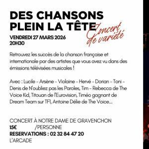 Des chansons plein la tête