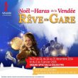 Spectacle RÊVE A LA GARE