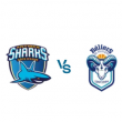 Match ANTIBES - QUIMPER @ Azurarena Antibes - Billets & Places