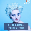 Concert Alice Animal / Tandem Tour