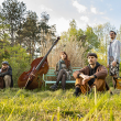Concert Zebra sky &agrave; LE BOURGET DU LAC @ ESPACE CULTUREL LA TRAVERSE - Billets & Places
