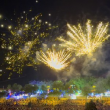 Visite Les feux vus d'en haut