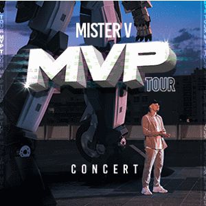 Mister V Mister V