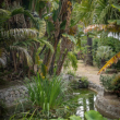 Visite guidée du jardin Maria Serena