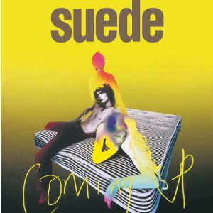 Suede Suede