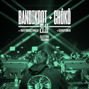 Bandikoot