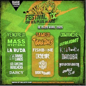 Festival On N'a Plus 20 Ans Ix - Pass 3 Jours