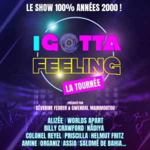 Affiche I GOTTA FEELING - LA TOURNEE