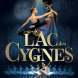 Spectacle LE LAC DES CYGNES
