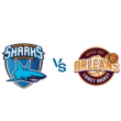 Match ANTIBES - ORLEANS @ Azurarena Antibes - Billets & Places