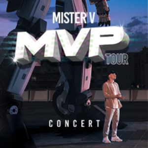 Mister V Mister V