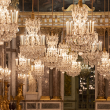 Visite  La Nocturne des abonnés : Les hivers de Versailles