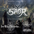 Concert SAOR + IN THE WOODS + IMPERIUM DEKADENZ + CÂN BARDD à PARIS @ Petit Bain - Billets & Places