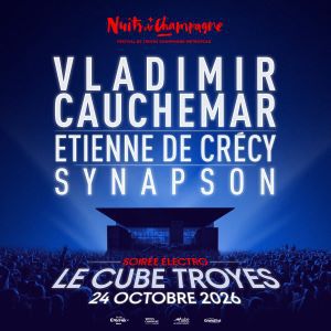 Affiche — Vladimir Cauchemar + Etienne de Crécy + Synapson
